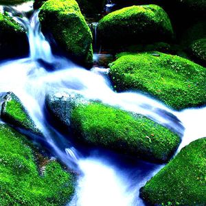 想看超清黄片视频
