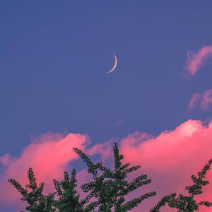 想看超清黄片视频
