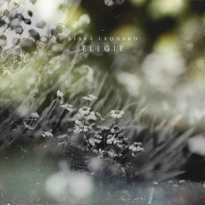 想看超清黄片视频
