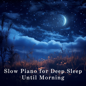 想看超清黄片视频
